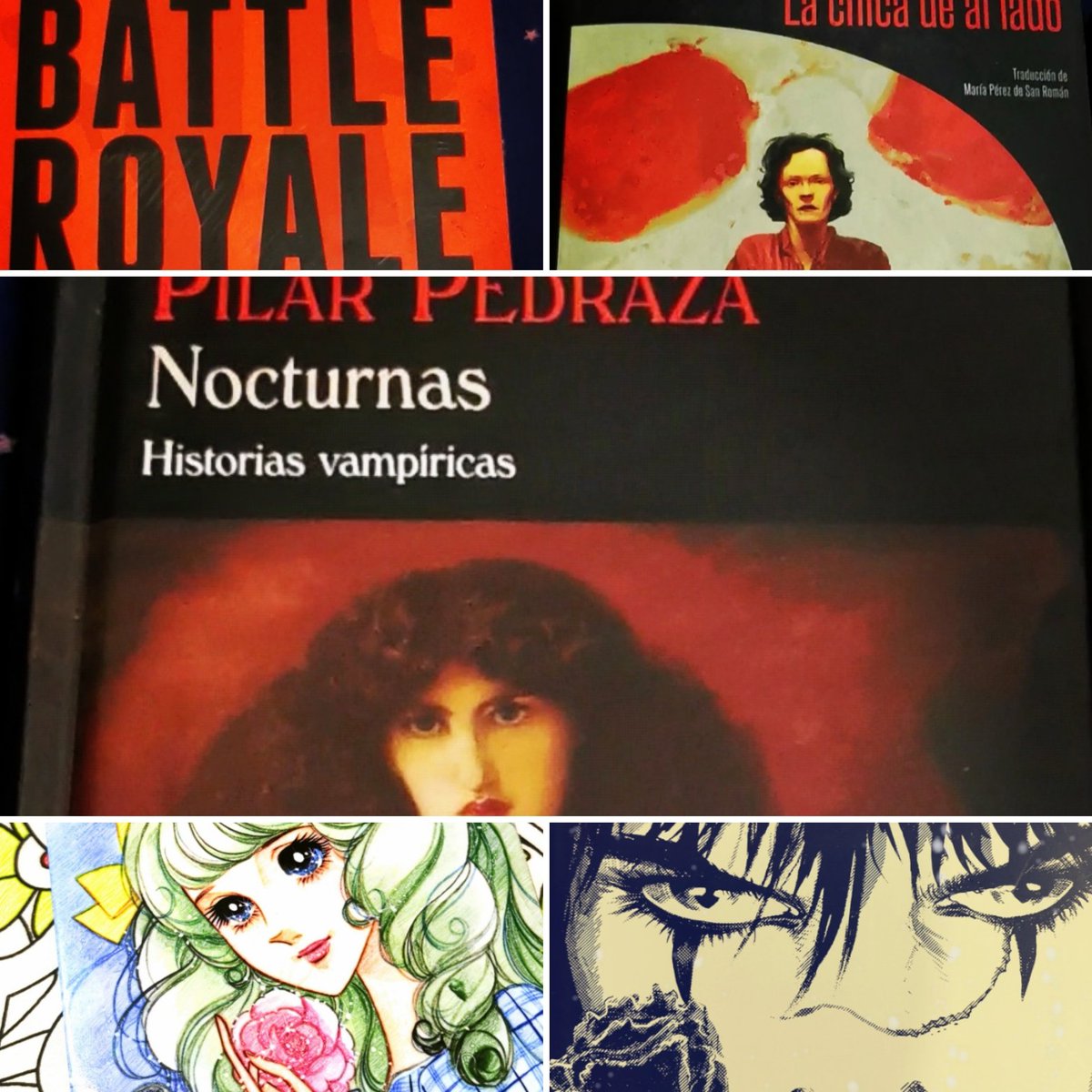 readingdeworld's tweet photo. #bookhaul #manga #ilustrados #bookhaulnoviembre2021 #libroscomprados #battelroyale #thecrow #miriamblue #historiasvampiricas #lachicadeallado #jamesobarr #pilarpedraza #keikonagita #vampirismo #noficción #librosvarios #booklover #iconos #literatura #leyendas
#readingdeworld 📖🌍 https://t.co/mLjHE0YvXf