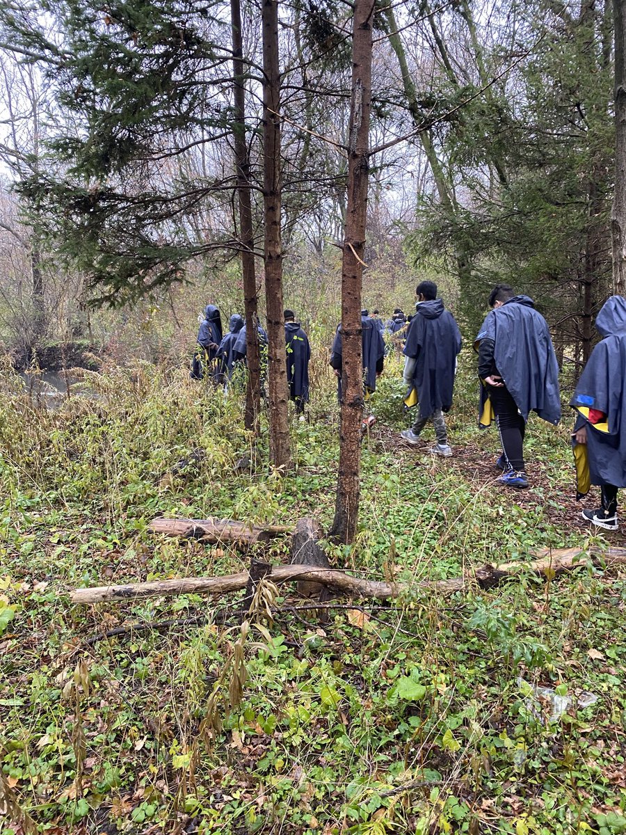 HillsideOE's tweet photo. Water testing in the rain with @charlesgordonps students to measure the health of highland creek. Nothing can stop us! @TOES_TDSB @LC3_TDSB #outdoorlearning #citizenscience @EcoSchoolsTDSB https://t.co/S55PAUU35o