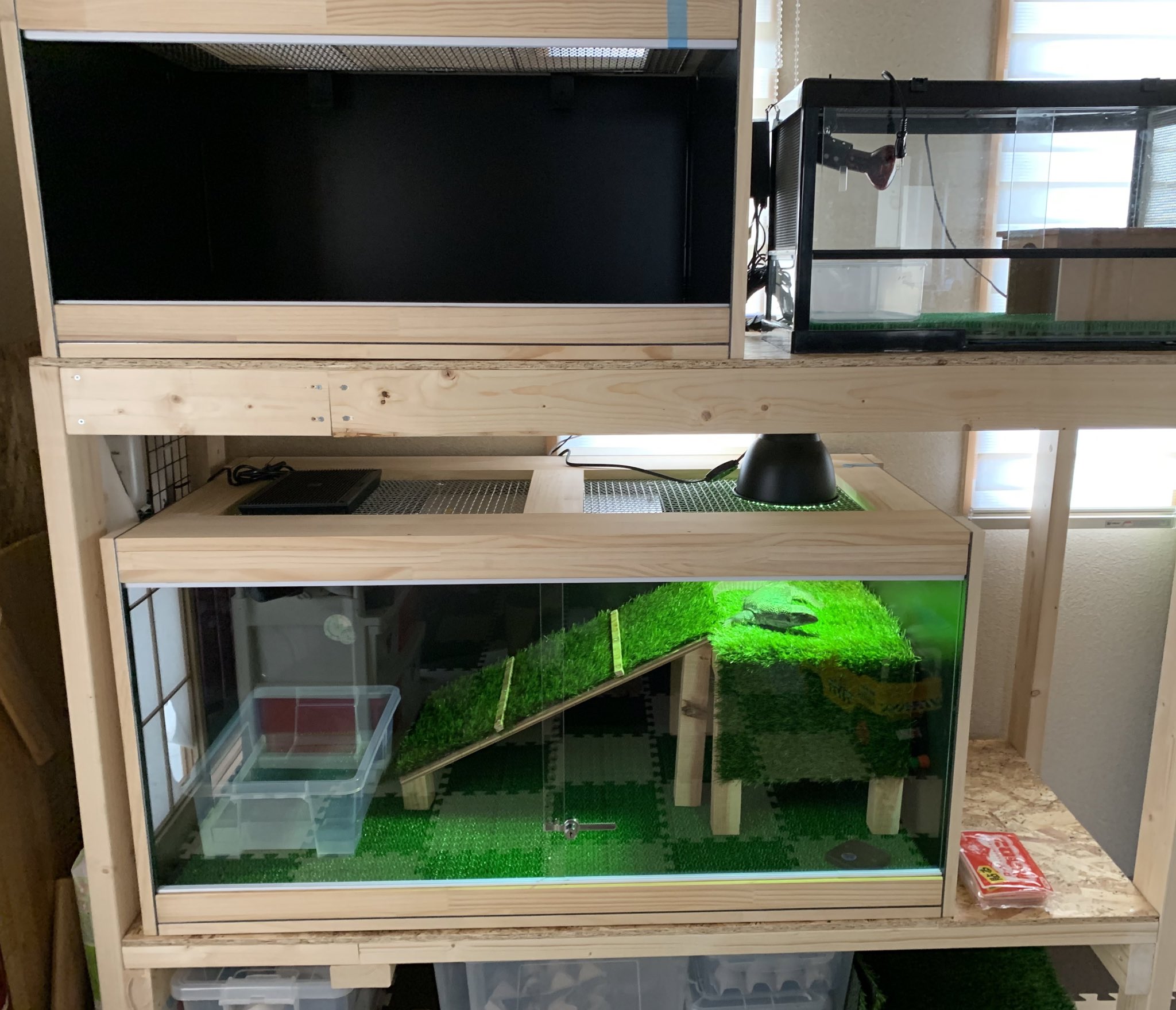 K's cage オーダー爬虫類ケージ (@Kscage1) / Twitter