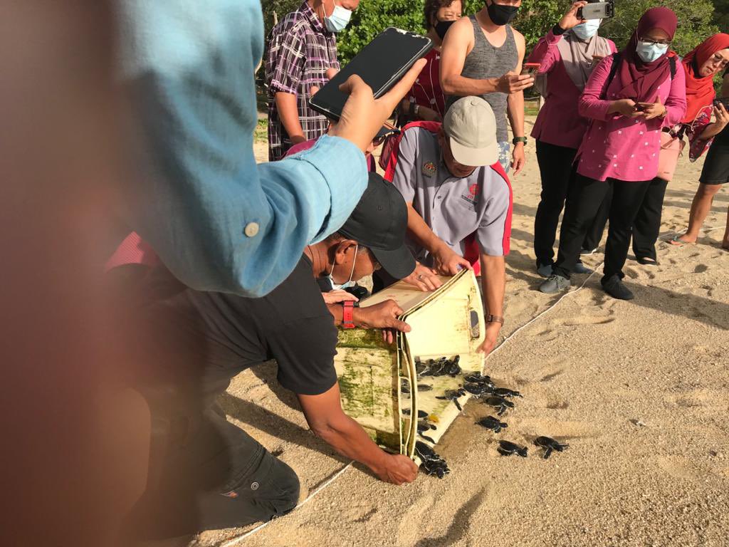 ZambryOfficial's tweet photo. Kampung Penyu Tlk Ketapang Pangkor adalah produk pelancungan. Dimulakan oleh orang kg jaga &amp; pelihara kws ini. Kemudian Enakmen Penyu diperkenalkan. Jabtn Perikanan ambil alih. Ia sepatutnya jadi asas libat-komuniti. Kini agak terbiar. Bincanglah elok2. Jgn gaduh dgn orang kg. https://t.co/4qktwkOiH2