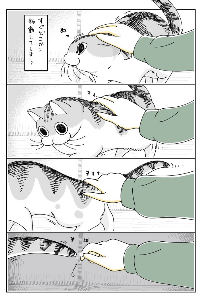 撫でられたい猫、しかし? 『無限ループ』に猫の飼い主たちが「あるある」 https://t.co/ik6hNdOCFV @grapeejpより 