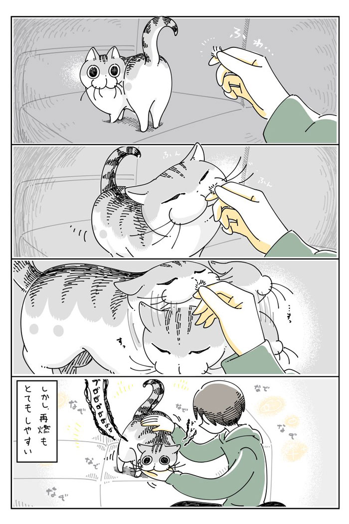 撫でられたい猫、しかし? 『無限ループ』に猫の飼い主たちが「あるある」 https://t.co/ik6hNdOCFV @grapeejpより 