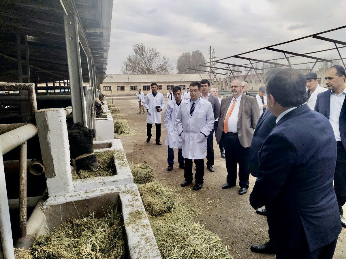 Oybek Shaykhov tweet media