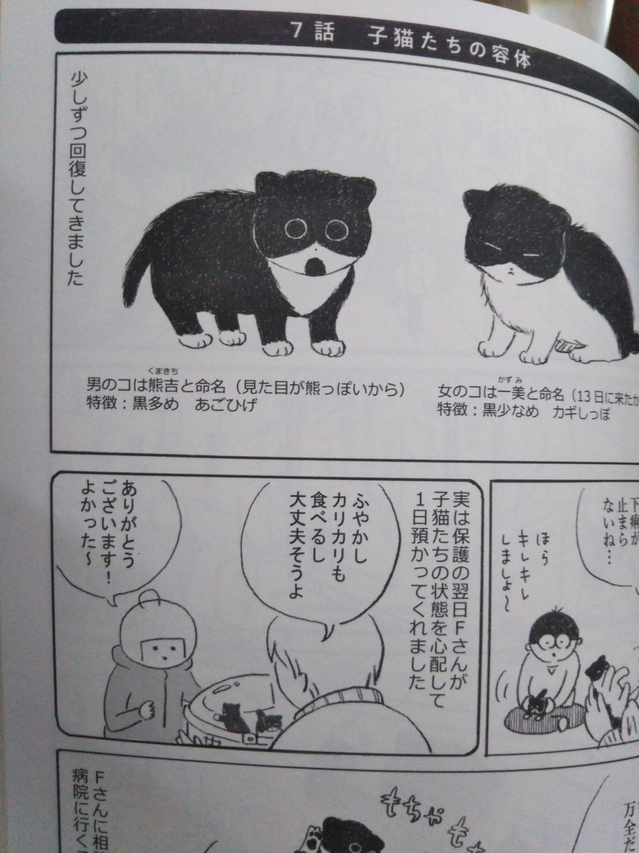 私の漫画、「猫ニャッ記」にも登場するFさん(後ろ姿の女性)です。熊吉、一美以外にも私が保護した猫を引き取っていただいたりと、大変猫愛にあふれる方です。無理のない範囲でご協力いただけると助かります。拡散だけでも!よろしくお願いいたします🙇 