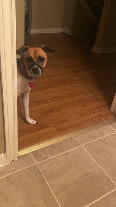 Watch Bryant.A 🇳🇬✨'s leaked NSFW photo on TwXstars