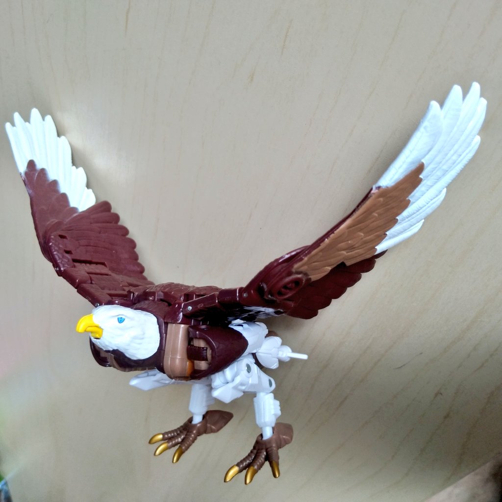 naztraverse's tweet image. #transformers Kingdom Skywarp. Love the wings on this bird. #naztraverse