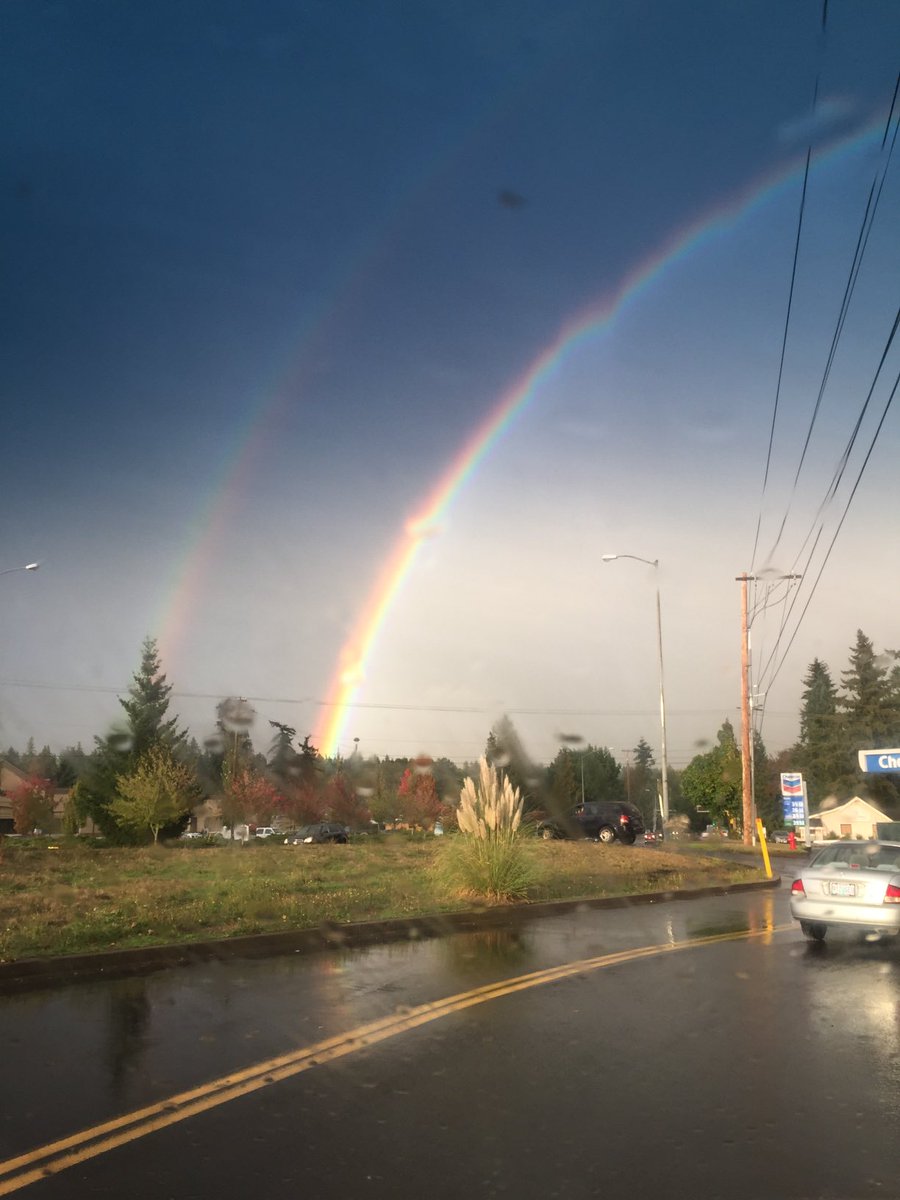 growingupzee's tweet image. Remembering the day I learned that at the end of every rainbow, is a pot of cats.  #CatsOfTwitter