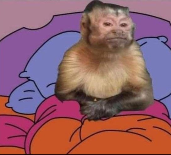 SennorReds's tweet photo. —  ¿No me hará daño dormir así?
— ¿Así cómo?
— Así sin ti. https://t.co/DYq2l6cTQD