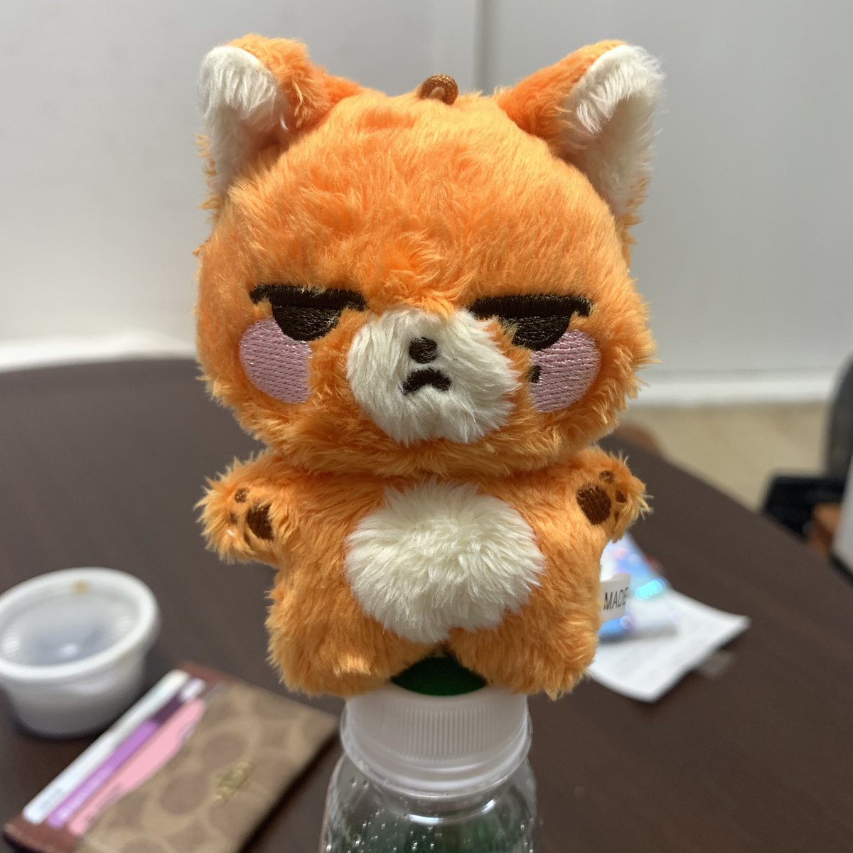 오늘도 정상으로 올라간 여우영