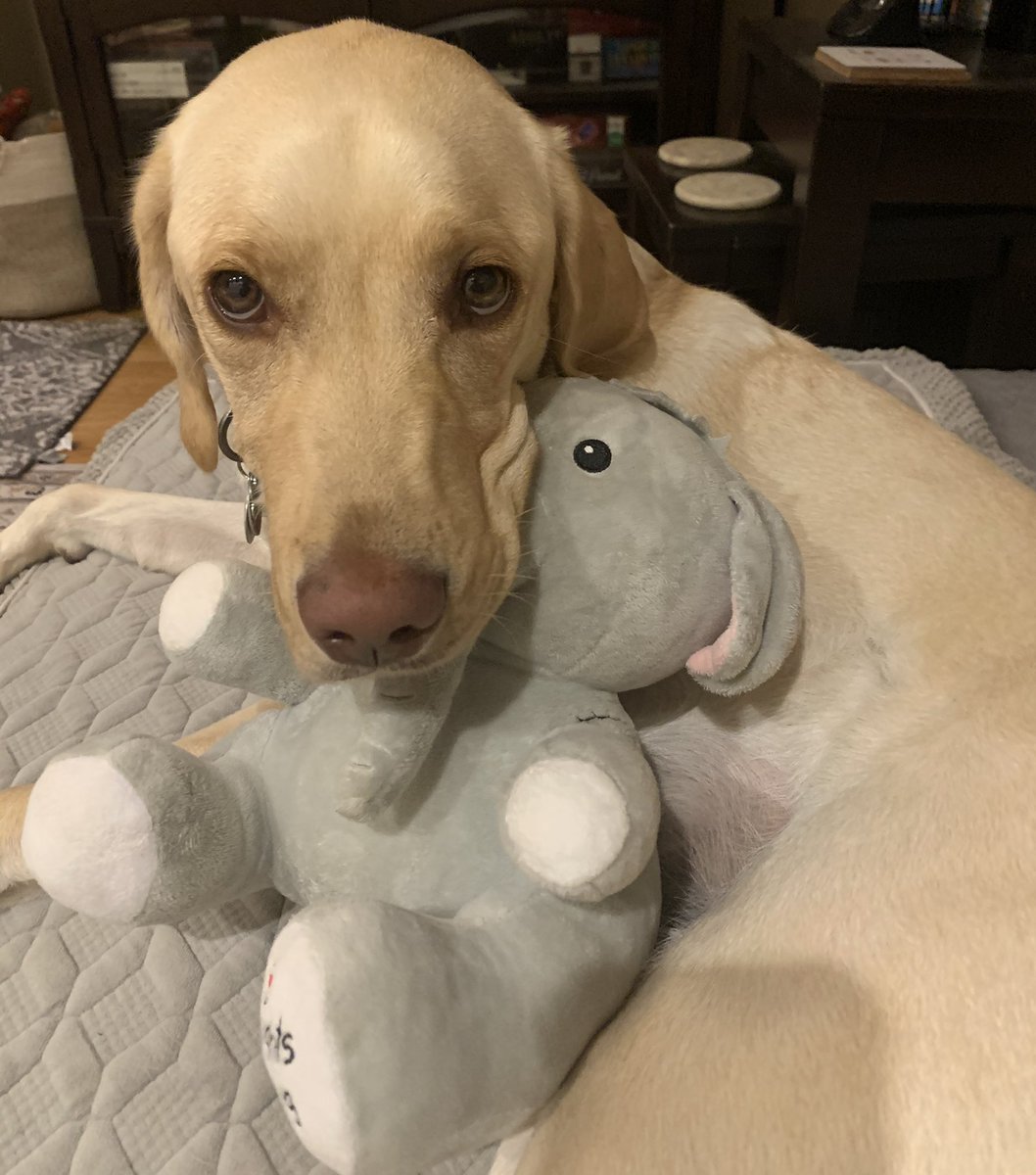 AboutABite's tweet photo. @dogfather Mine! https://t.co/ItgAaBsToY