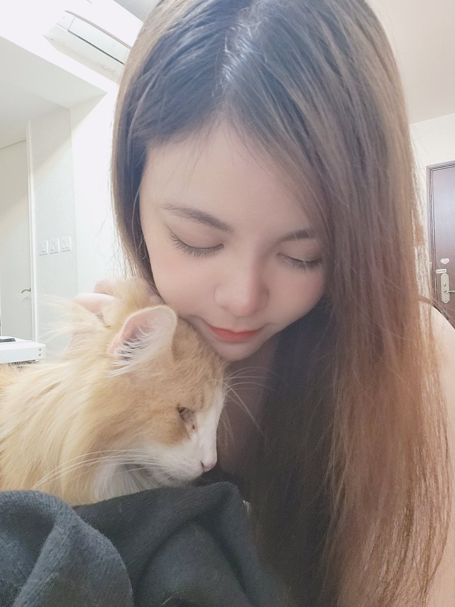 SykGenie's tweet photo. 終於想起我的帳密了 https://t.co/4ktSJnppZi
