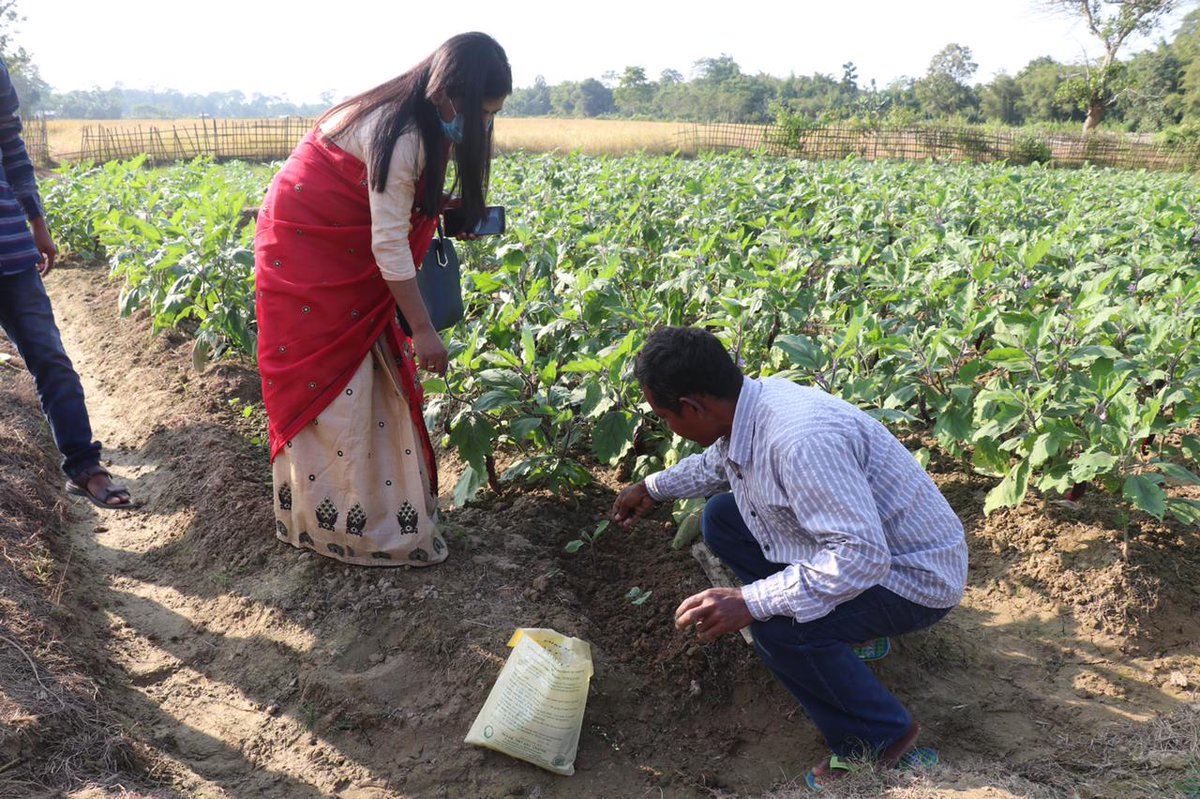 DBT-NECAB, Assam Agricultural University, Jorhat tweet media
