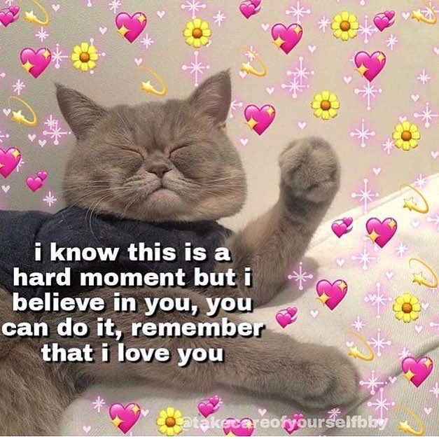 alwinaaqila's tweet photo. officially 20 ok bye teenager life. yeyy mam kue✨🦋 #cheerstomyself🥂 https://t.co/Ils88OoP4Q