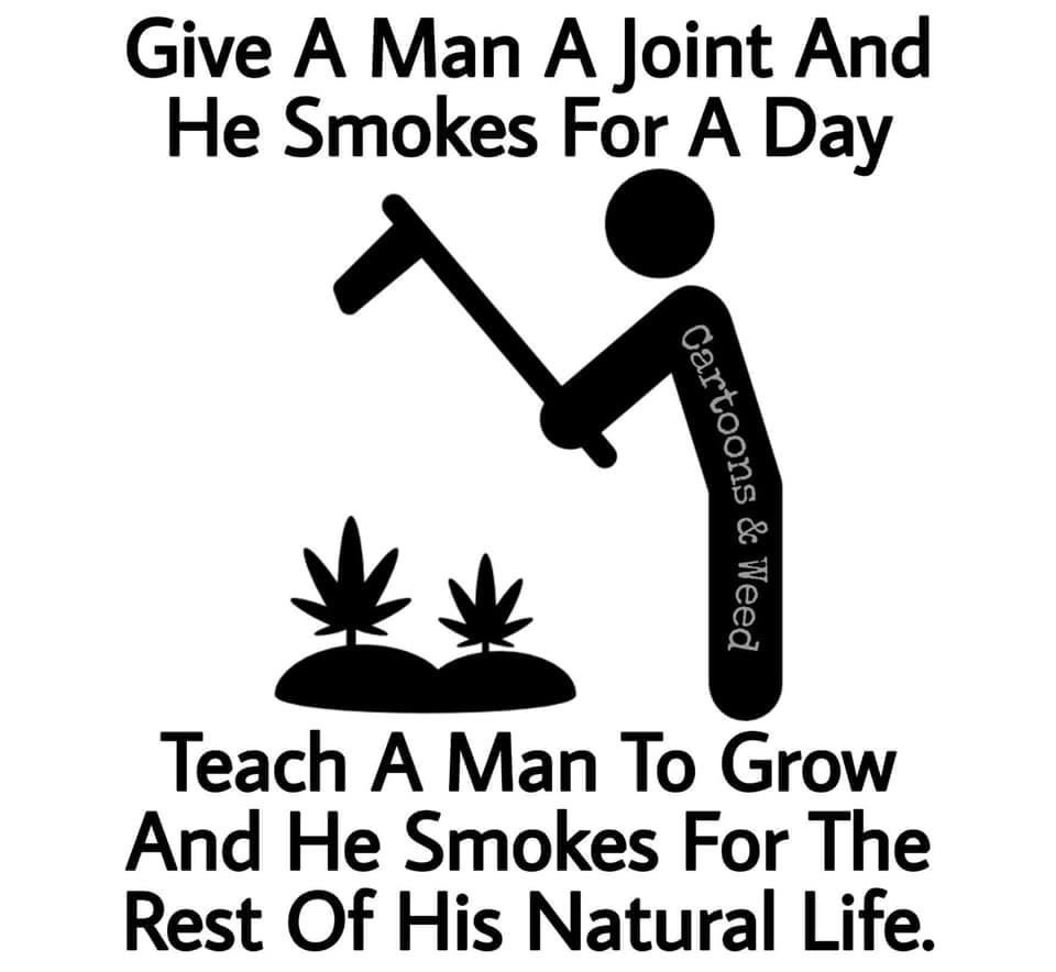 NewAgeCannaPD's tweet photo. Growing your own weed is the best way💨🚀🔥

#lockdown | Jub Jub | Natasha | MacG https://t.co/1cS8lyljXP