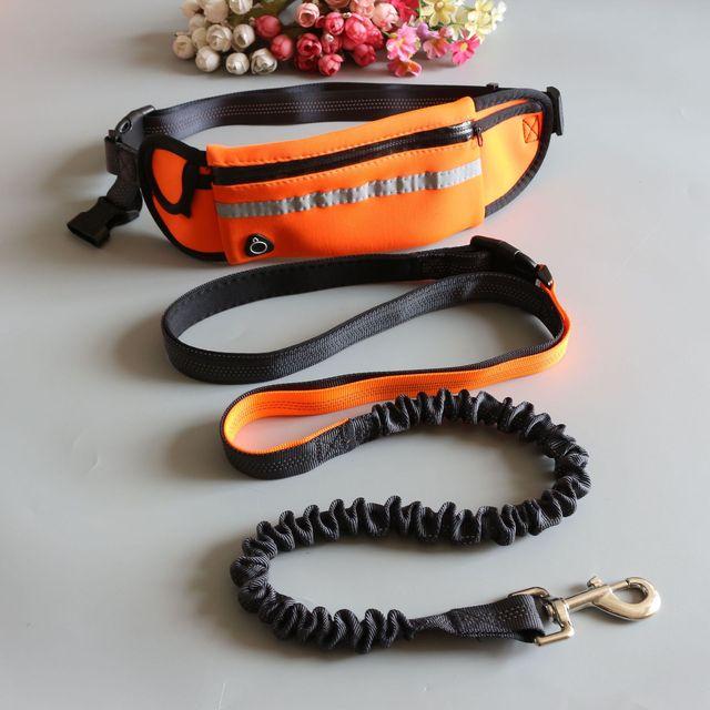 HANDSFREE BUNGEE DOG LEASH ($31.95)

Shop now: bit.ly/3xsmA9S
Email now: jos@thepawhaven.com

#ThePawhaven #DOGLEASH #DogAccessories #Singapore