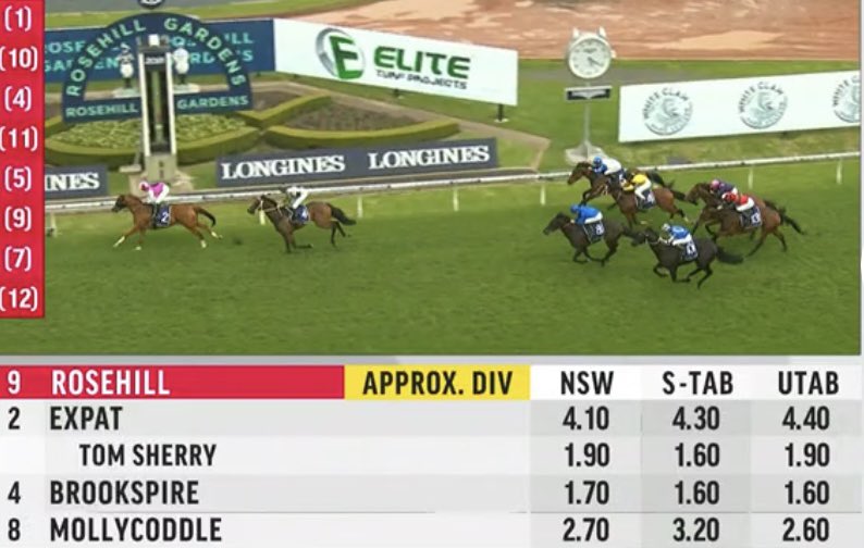 Jump, Lead, Win 🏆🏆🏆🤑🤑🤑 another VIP pick goes boom for <a href="/tdwhisperer1/">The Dog Whisperer</a> and @bmrhorse 🥰🥰🥰