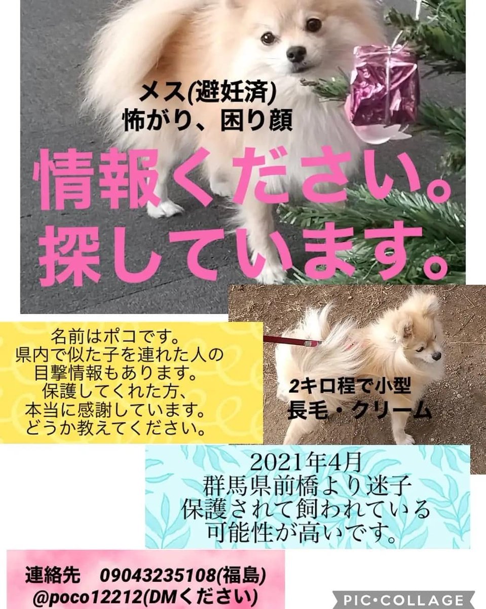 タグ 前橋市 の注目ツイート メガとんトラック