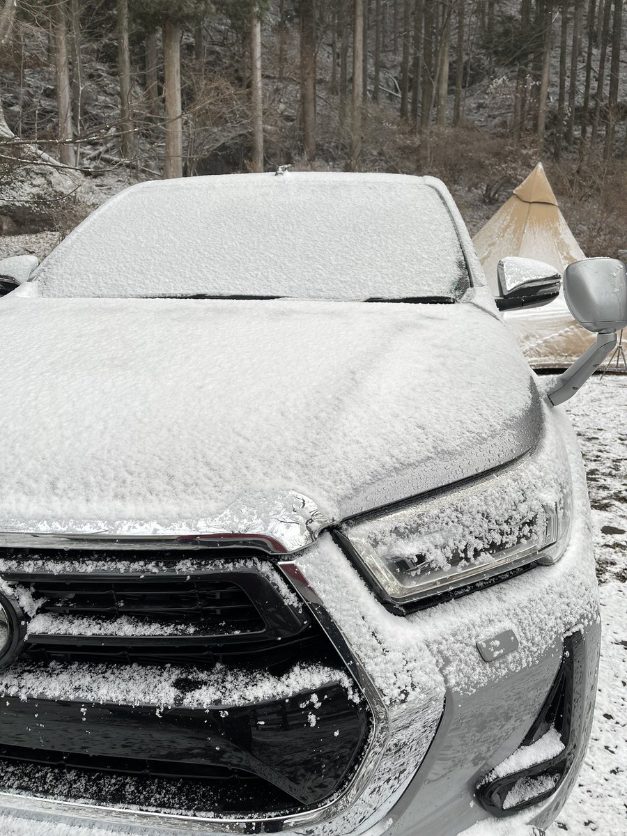 harry_ysk's tweet photo. 雪だ https://t.co/0zQpLkI0Dd