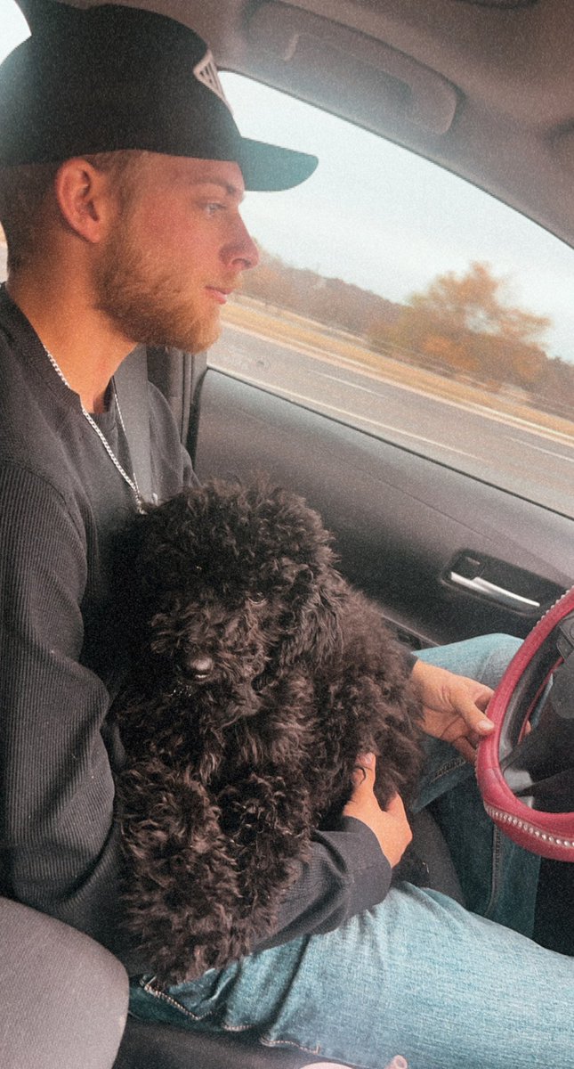 KylanChaney's tweet photo. @jared_rayyy and i got a puppy for christmas. everyone meet our 3 month old golden doodle, ida grace💗 https://t.co/3CHk6292wV