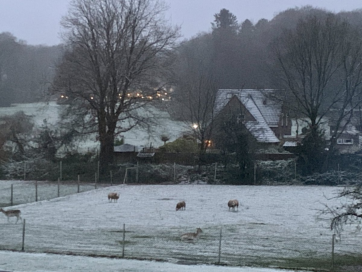 2Mup's tweet photo. Is sleeën na 17 uur toegestaan? ⛄️ 🛷 https://t.co/eJIxMvCzAP