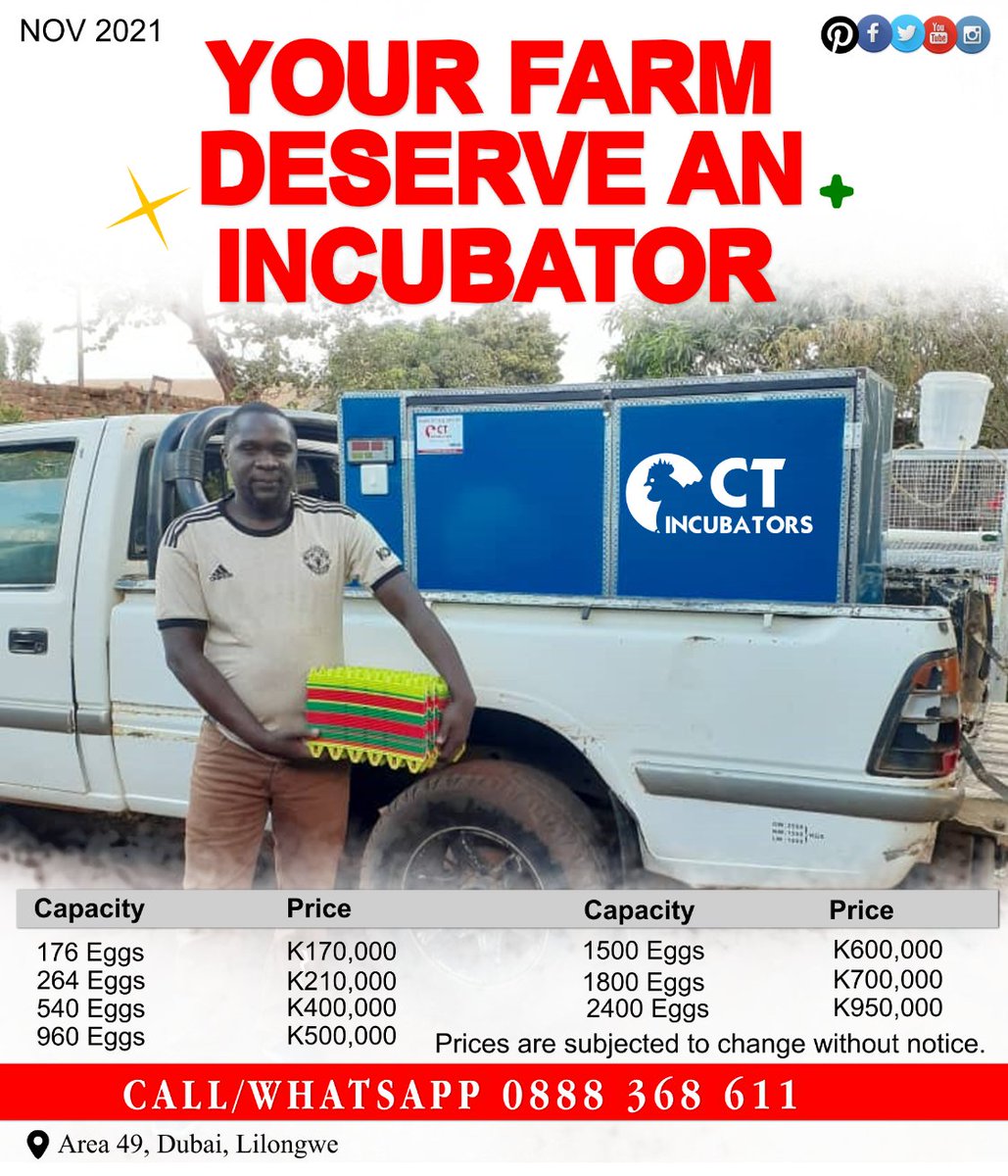 CtIncubators's tweet photo. Your Farm Deserve An Incubator.

Buy one today.

Call/WhatsApp 0888368611

https://t.co/GdbUvGSwHj

#Agriculture #Incubators #IncubatorsMalawi #Poultry #Hatching #Incubator #Chicks #Kuroilers #Quails https://t.co/PTOSvltQjS