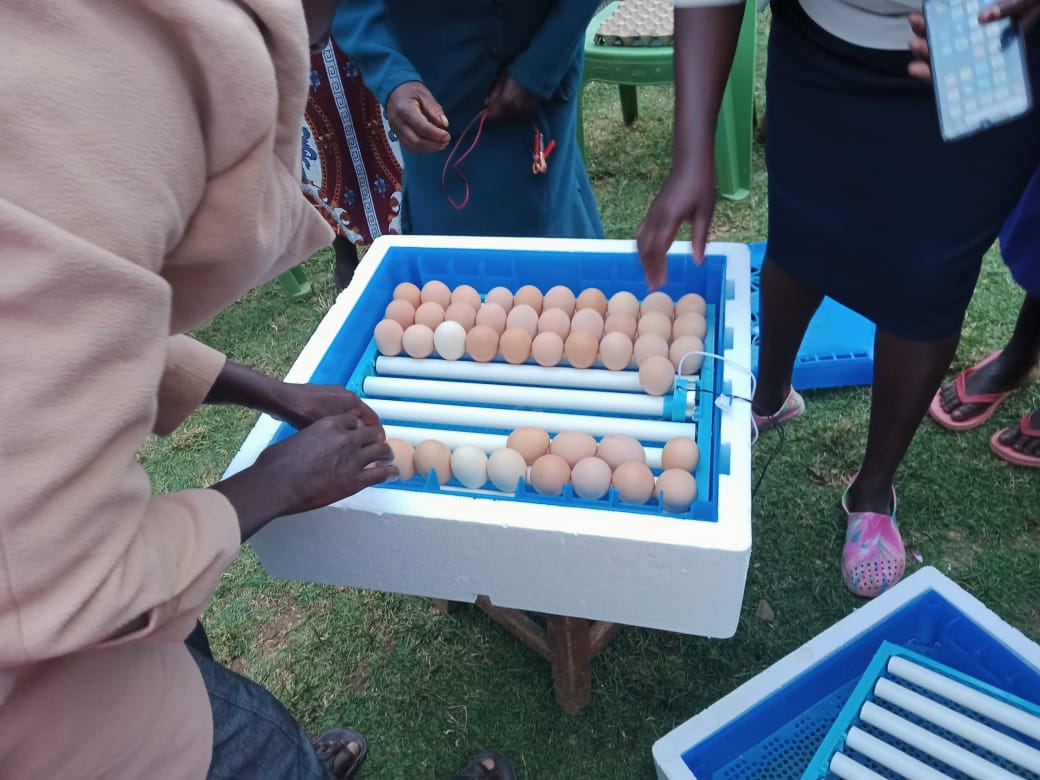 alika_sere's tweet photo. @alika_sere we train our farmers on #eggselection and #eggplacement in the process of incubation. This was a training happening to Sabanin women group #Kapropita Ward https://t.co/z2gD0PvV0L