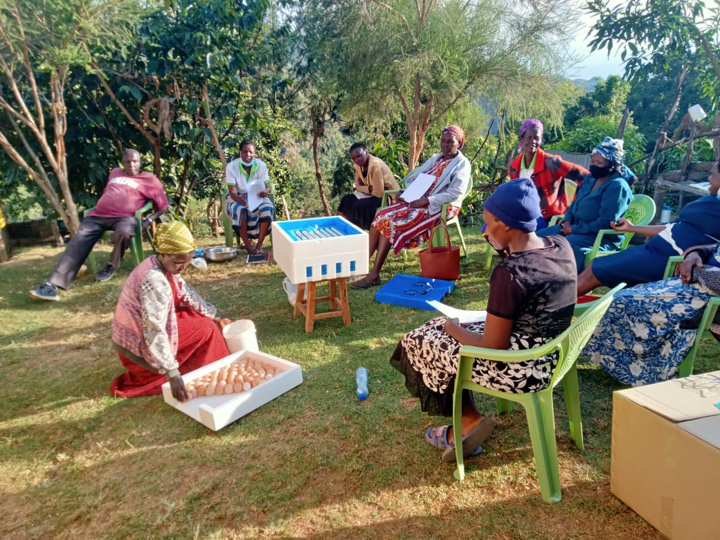 alika_sere's tweet photo. @alika_sere we train our farmers on #eggselection and #eggplacement in the process of incubation. This was a training happening to Sabanin women group #Kapropita Ward https://t.co/z2gD0PvV0L