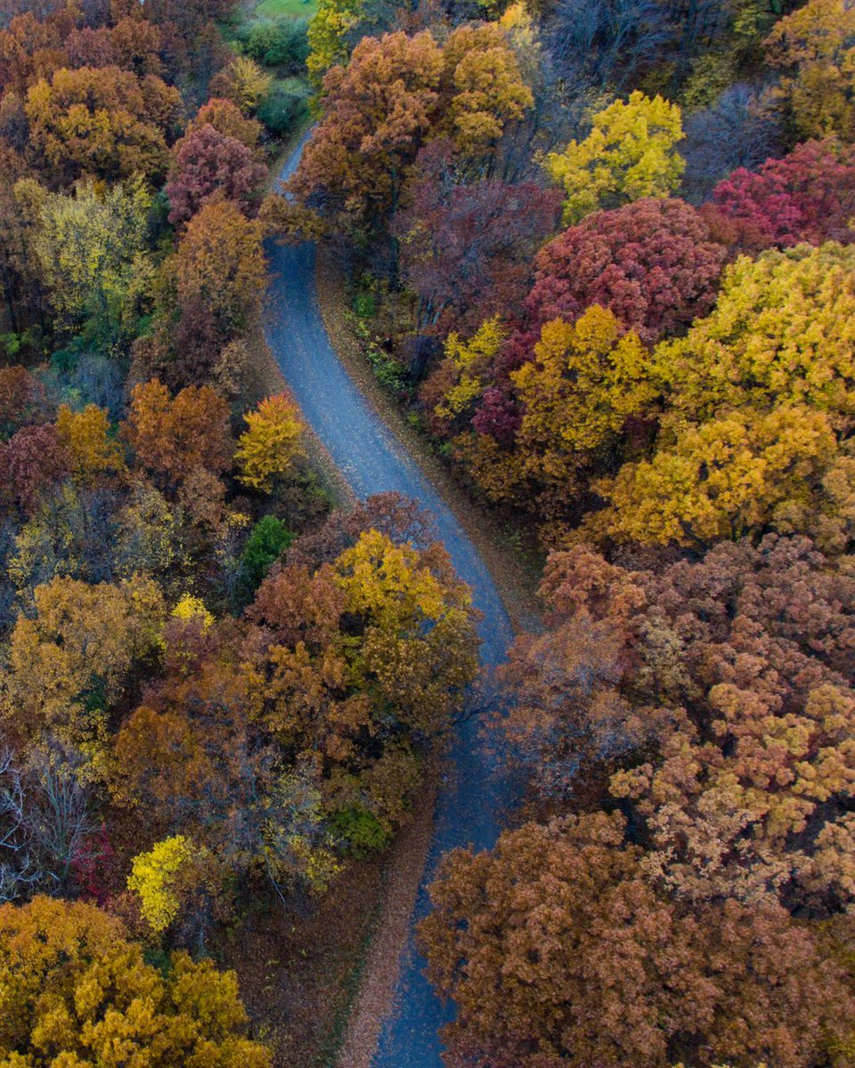 EscapesHabitat's tweet photo. The autumnal season brings a stunning array of colours to the treetops of Silverlake. Your holiday will bring a world of new adventures, reconnect with nature at Silverlake and live the wild life. 

#habitatfirstgroup #silverlake #pureadventure #livethewildlife #habitatescapes https://t.co/WPcUf2YNNE