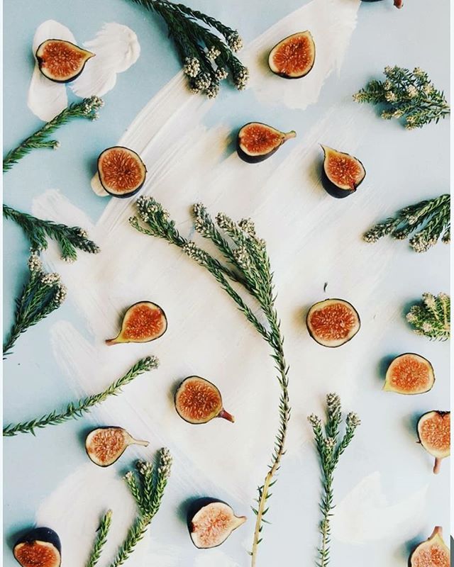 ffedorovf's tweet image. Человек с большими достоинствами и большим умом, которые признаны всеми, не безобразен, если имеет даже уродливые черты лица: безобразие, хотя бы оно и было, не производит впечатления.