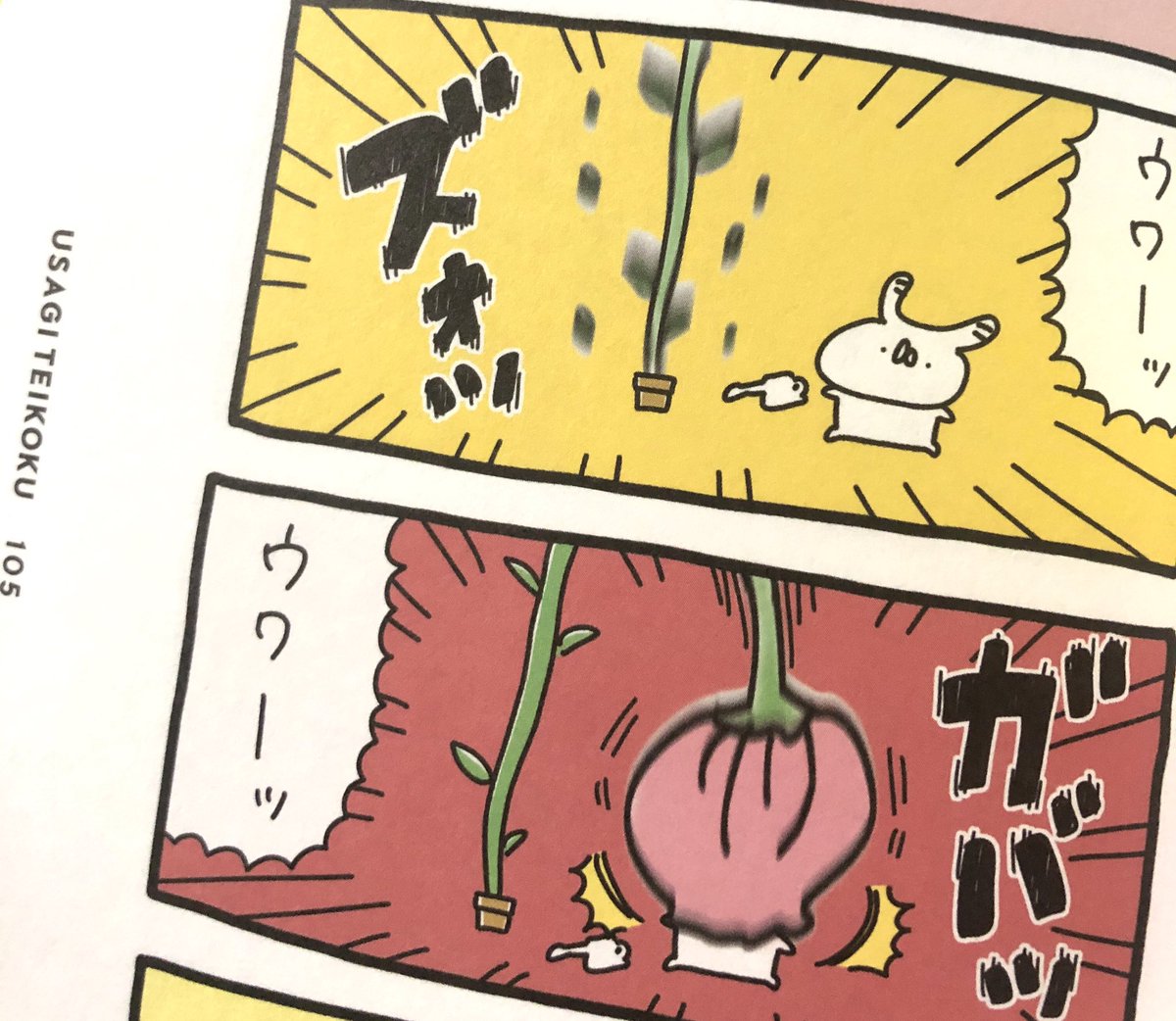 本日11/27で『うさぎ帝国 ～ステキな日常～』出版1周年です!🎉🎉
https://t.co/eCAM1z3QCC

#うさてい漫画 がたくさん載っているステキ&たのしい一冊です! 描き下ろし4コマをチラ見せ🐰

🌼レタスクラブさまで一部4コマを掲載していただきました!
https://t.co/iK6hvOJNm6 