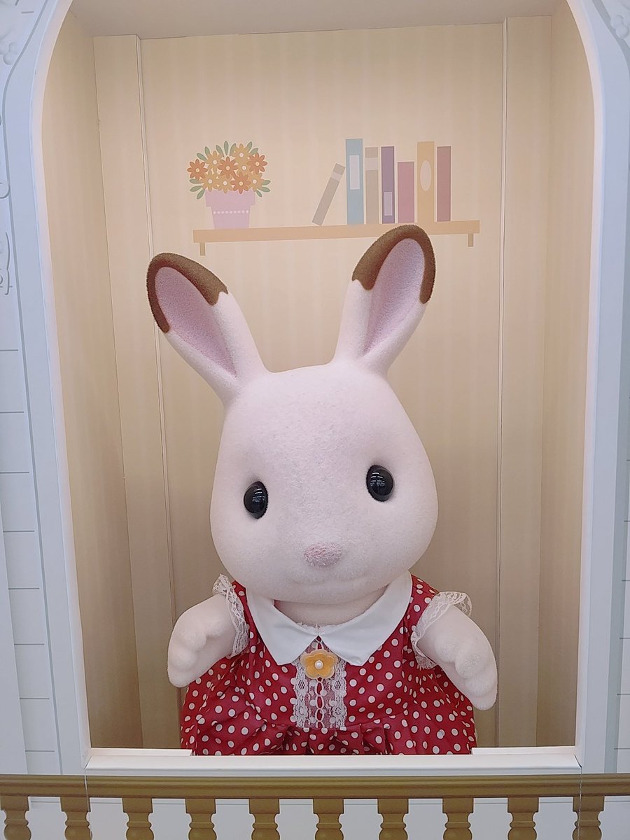 IRiccachan's tweet photo. 電器屋さんに行ったら、ショコラうさぎちゃんがお出迎えしてくれた♡
可愛すぎて連れて帰りたかったよ～
シルバニアの大きなぬいぐるみあったらいいね😍

#シルバニアフ��ミリー
#可愛いは正義 
#3歳児
くらいの
#サイズ https://t.co/q6ilAorMWx