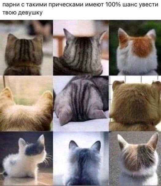 RussianMemesLtd's tweet photo. Guys with hair like this have a 100% chance of stealing your girlfriend https://t.co/AOgUlC3rao