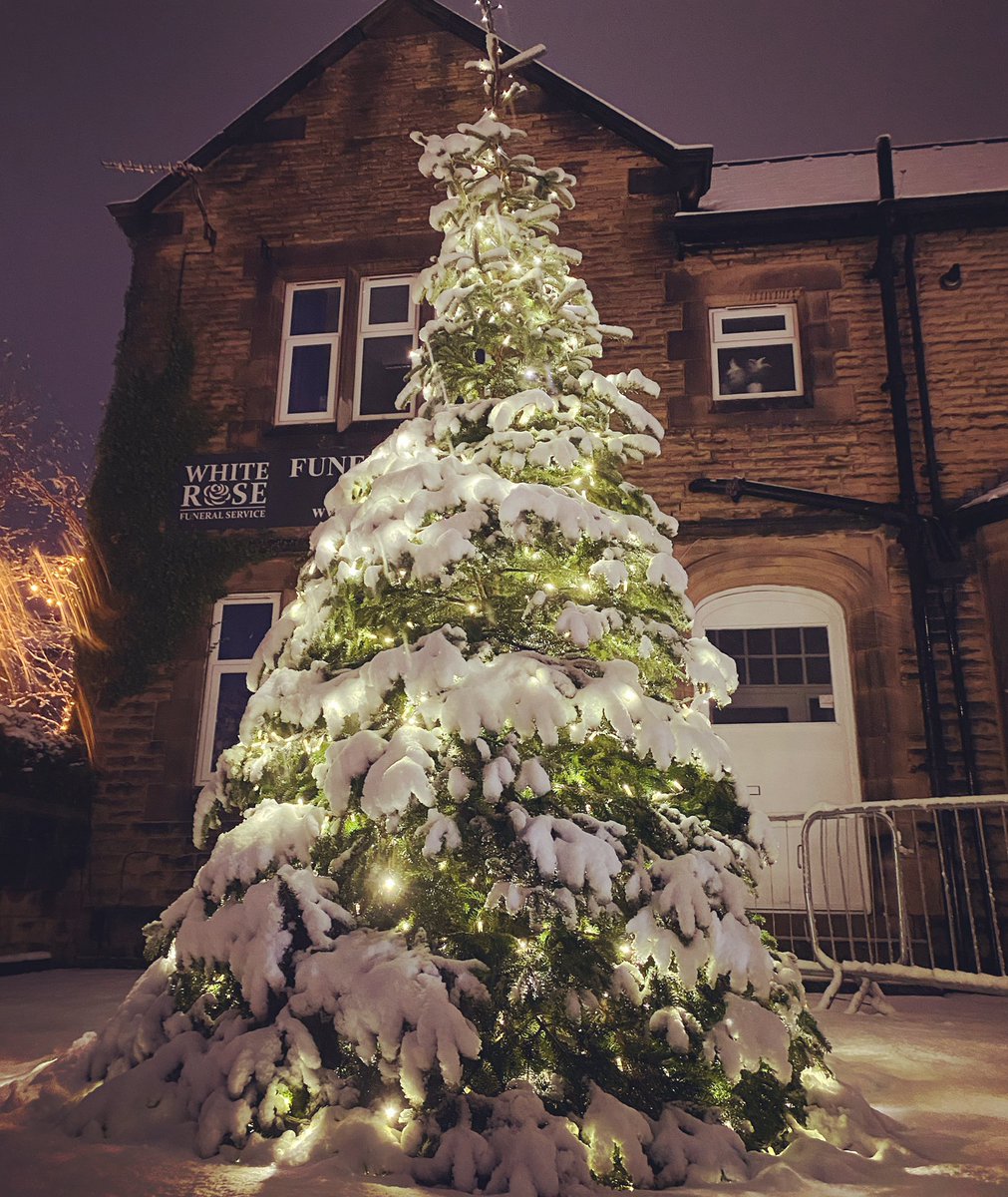 ArmsWentworth's tweet photo. Good morning Mapplewell ⛄️🎄 https://t.co/kwM1KjwpUH