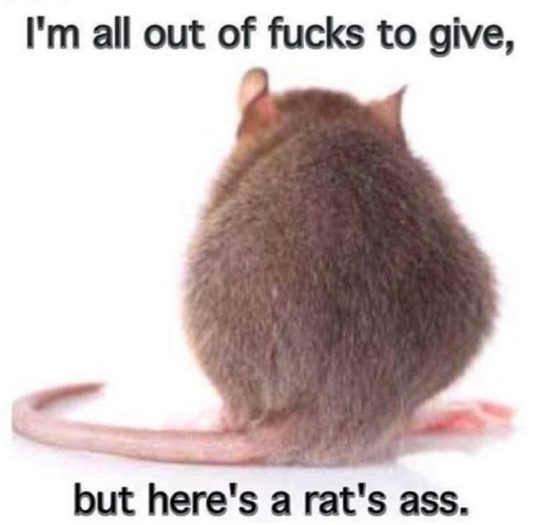 ratatataaagc's tweet photo. https://t.co/TLpfO3aIHw