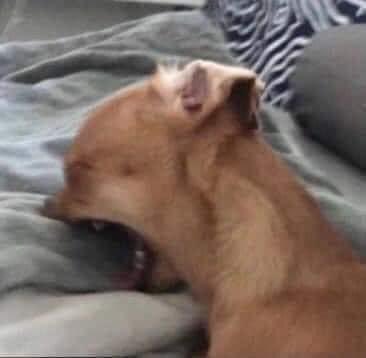 แพ้ทุกทาง

#พี่ชายที่รักเธอ
#CherprangBNK48