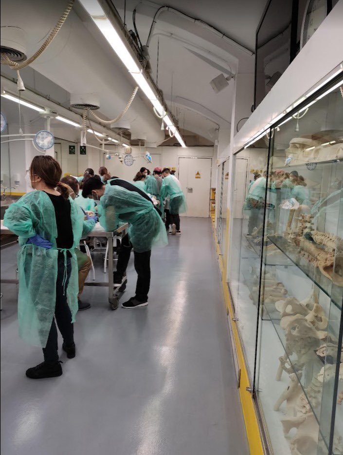 Arrancamos fuerte, Àlex Merí con Neuroanatomía <a href="/BlanquernaFCS/">Blanquerna FCS</a> en <a href="/MSNeurofisio/">MSNeurofisio</a>.