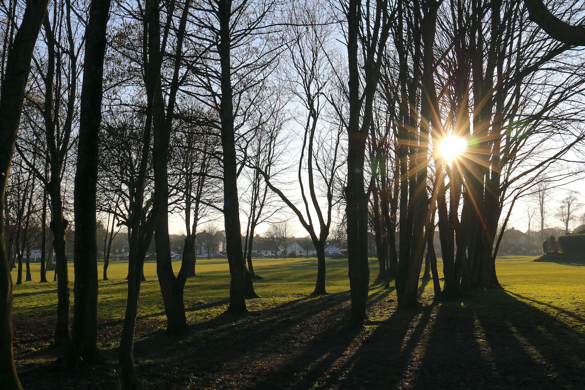 adurandworthing's tweet image. Nearly 150 trees are set to be planted across #Adur and #Worthing after the Councils secured £18,000 funding from The Tree Council.

The windfall was obtained as part of the Councils' commitment to reducing their carbon footprint. Full story:

👉 adur-worthing.gov.uk/news/pr21-166.…