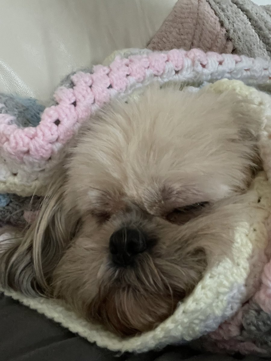 Bethany Pearson tweet media