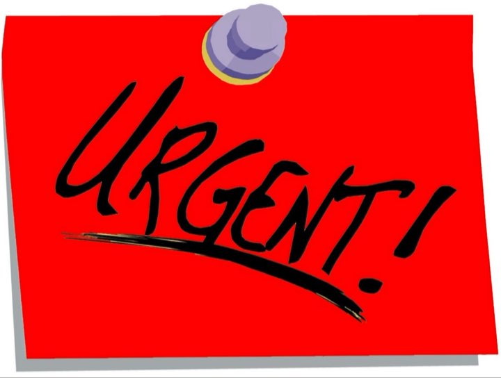 COPSSwimFast's tweet image. URGENT ANNOUNCEMENT FOR THE COPS TIME-TRIAL MEET

Please the following news link: uk.teamunify.com/team/ercpsc/pa…

Thank you for your support and understanding.