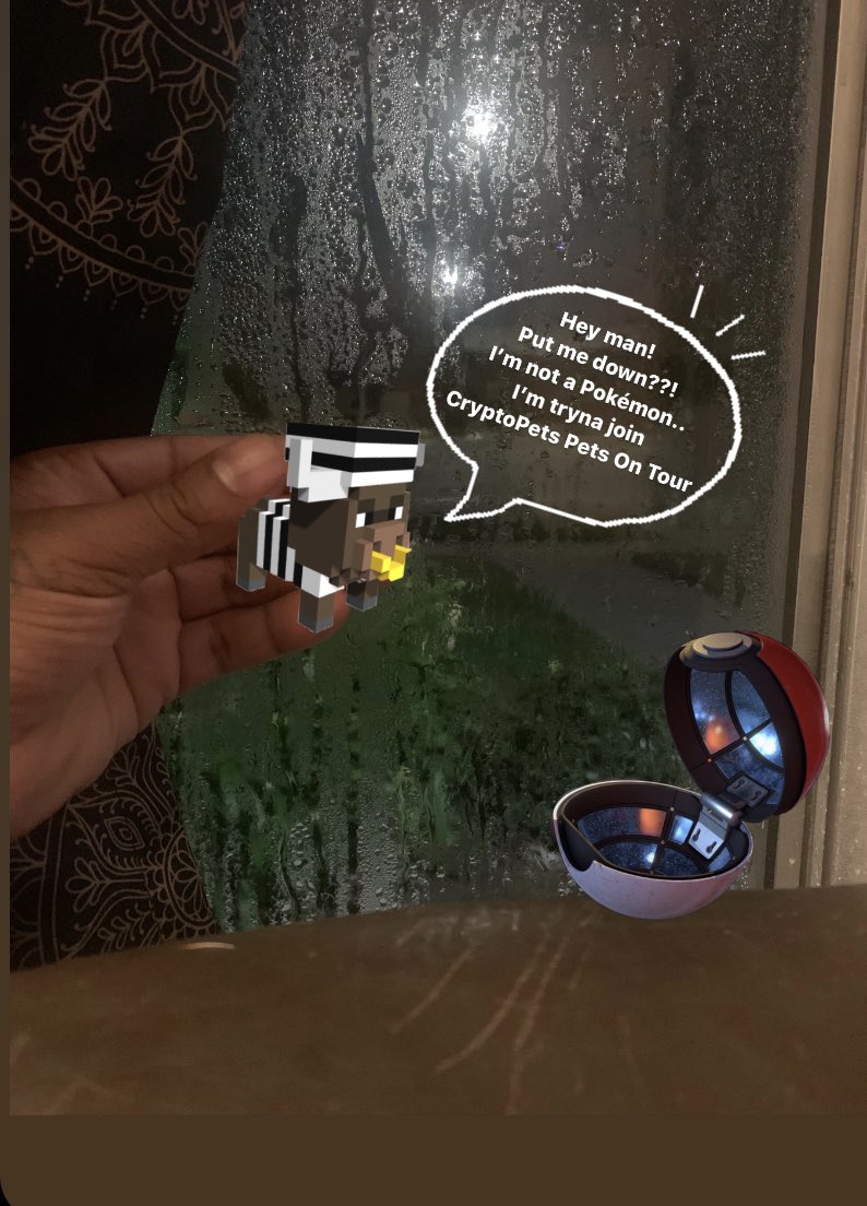 KingSwigg1's tweet photo. I was minding my own until Crypto Pet #690 aka “Bullish Breakdown” was found in my living after escaping jail sayin he was ready to participate in the Pets On Tour. If you don’t own a CryptoPet yet.. Your missing out!! https://t.co/R4qSiFin0a
 #CryptoPetsOnTour @CryptopetsAR #NFT https://t.co/6hwBB1JPbM
