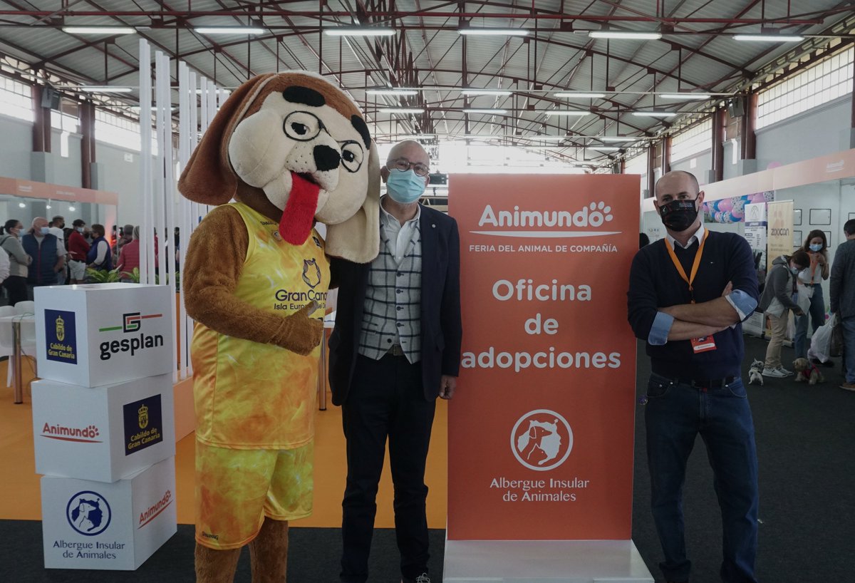 GranCanariaCB's tweet image. 📝 NOTICIA | El Club Baloncesto Gran Canaria, presente en #Animundo.

▪ El club, perteneciente al comité organizador del evento, presente en la cuarta edición.

👀 bit.ly/3rfW4Q8