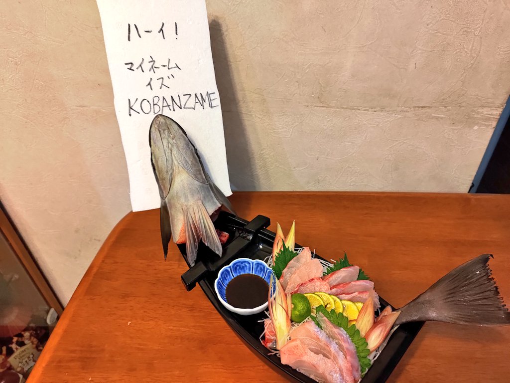 本物のコバンザメを部屋のいろんな所に貼りつけてみた様子がこちら すごい 普通にくっつくんだ 笑 Togetter 本物のコバンザメを部屋のいろんな所に貼りつけてみた様子がこちら すごい 普通にくっつくんだ 笑 Togetter