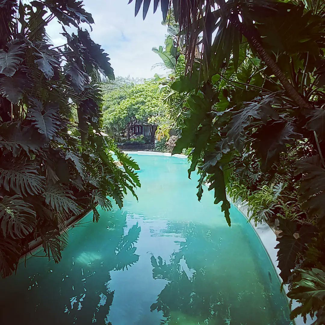 SafariPark_H's tweet photo. Enjoy all day πββοΈ at any of our pools for only Ksh.1,000 per adult and Ksh.500 per child.
#swimming #lagoonpool #standardpool #familytime #familyfirst https://t.co/zgrjD6apt8