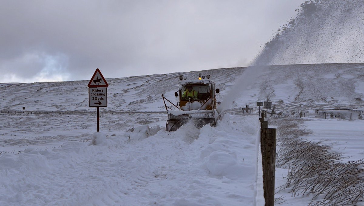 The suns come out to play but the winds still brutal.