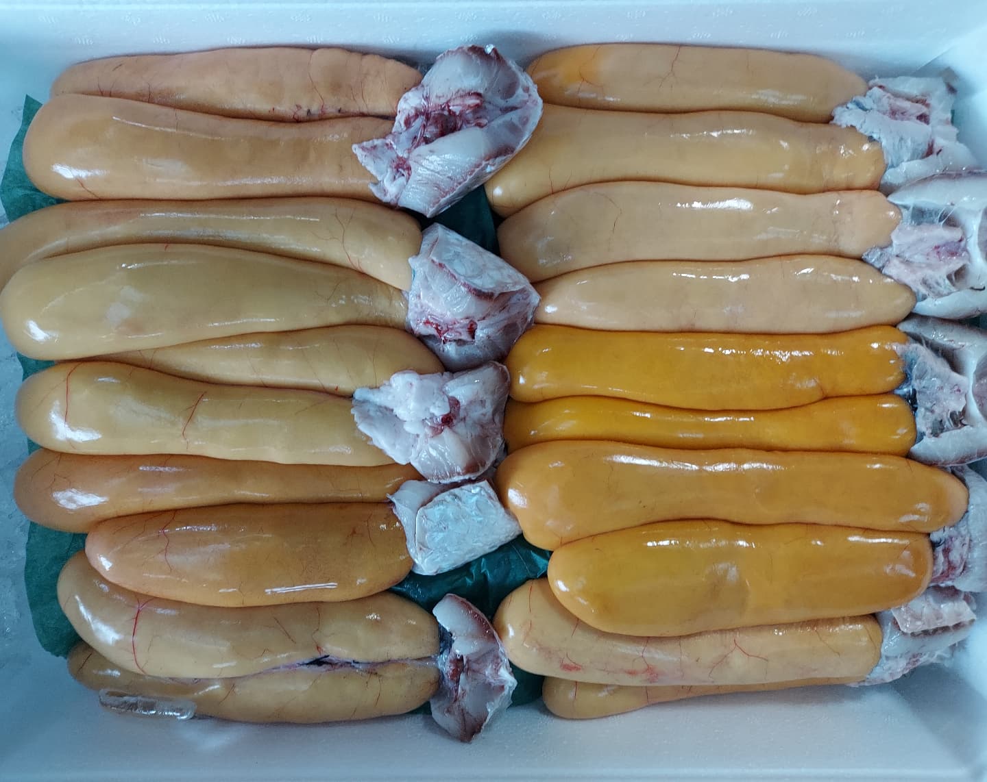 ボラの卵 Twitter Search Twitter