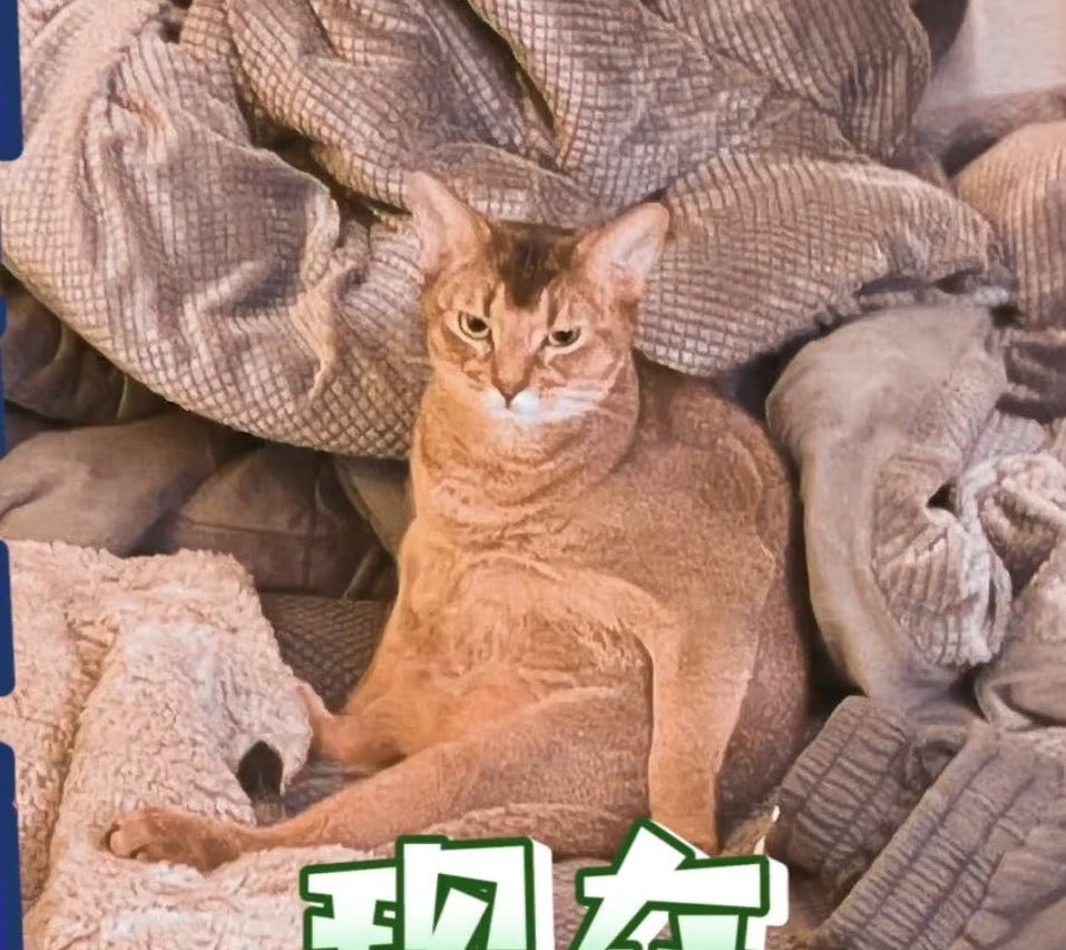 (✿ ✿)° tweet media