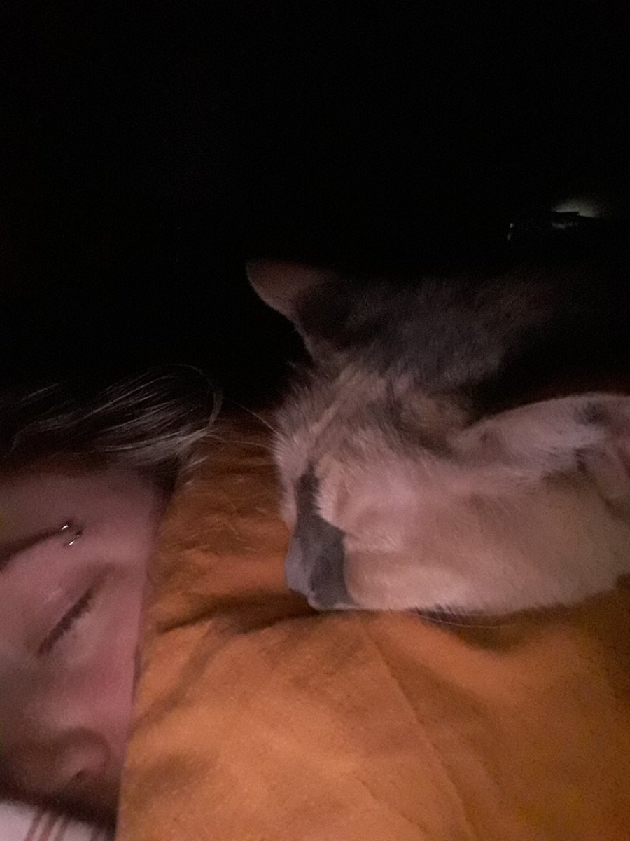 thiskristin's tweet photo. Cuddle buddies. https://t.co/dx47WDYkyT