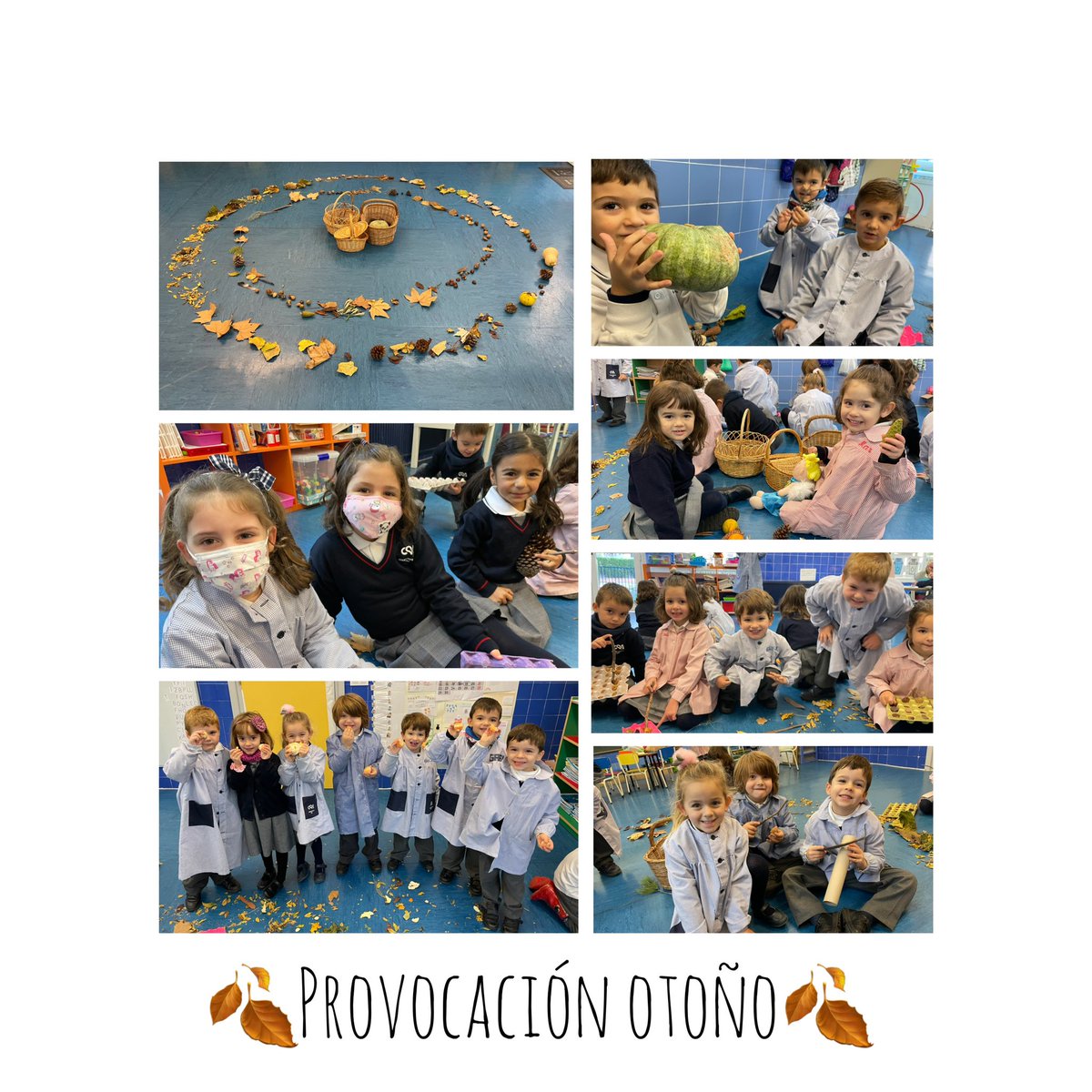 CsaIndara's tweet photo. Observar, manipular, experimentar, oler, dialogar, jugar, disfrutar, sentir y APRENDER🤎 https://t.co/CkG3GvTqfX
