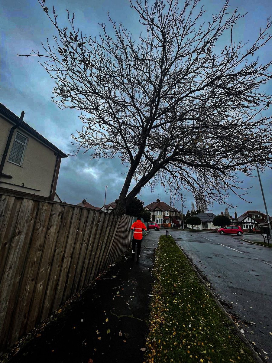 The Tree Fellas Hull Ltd tweet media