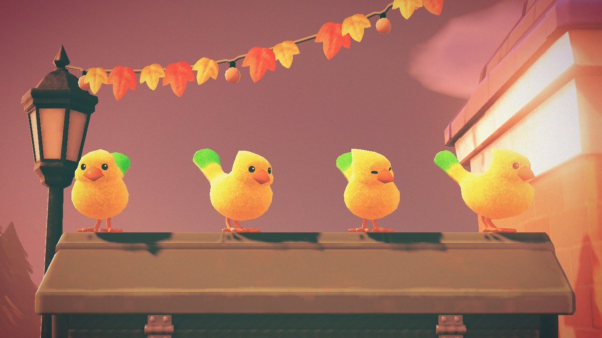 isleofhera's tweet photo. the bebe birbs let me take a photo! 🥺🥰 

#AnimalCrossingNewHorizons #animalcrossing #nintendo #NintendoSwitch #ACNH https://t.co/aqSGHvIc4H